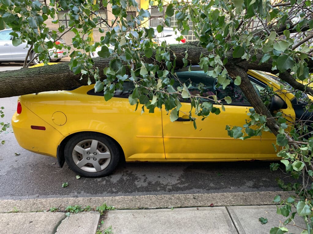 Totaled yellow car with tree on top of it